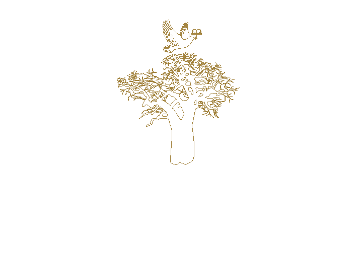 Partenaire 5